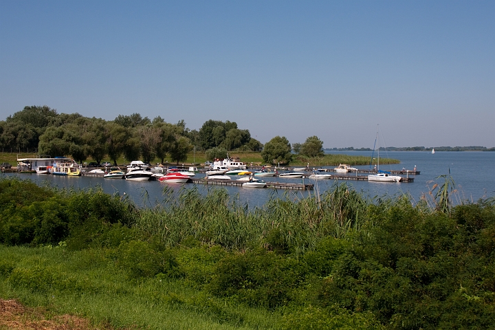 IMG_0463.jpg - Tisza-tó, Abádszalók