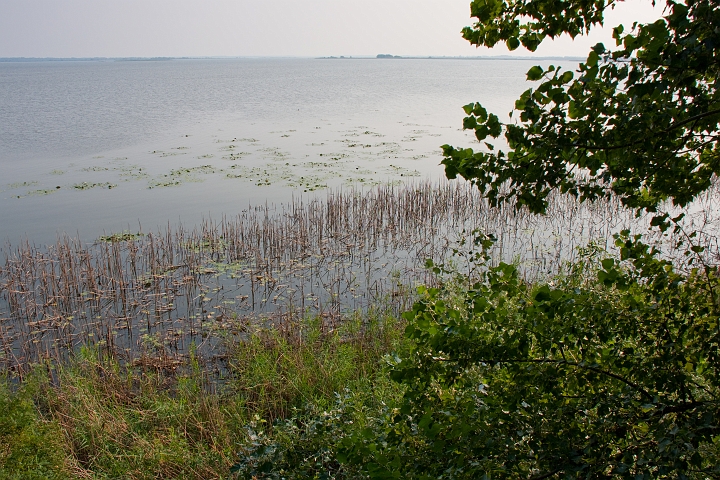 IMG_0606.jpg - Tisza-tó, Poroszló
