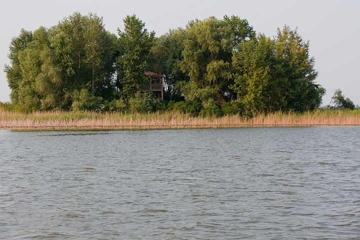 IMG_0607.jpg - Tisza-tó, Poroszló