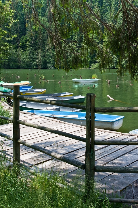 IMG_0401.jpg - Gyilkos-tó (Lacul Roşu)